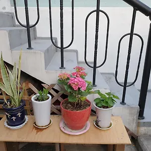 Oh My Guest house Seoul